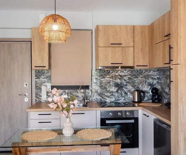 Apartamento Konstantinos Seaside View Nikiana