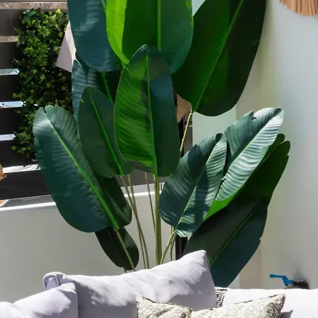 Konstantinos Seaside View By Imagine Lefkada Apartment